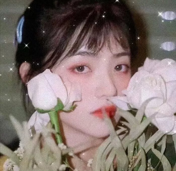 公子无双